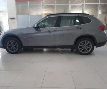 BMW X1 sDrive18i 2010 - Bán xe BMW X1 sDrive18i đời 2010, màu bạc, xe nhập  