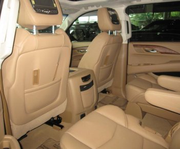 Cadillac Escalade Platinum 2016 - Cần bán xe Cadillac Escalade Platinum năm sản xuất 2016, xe mới, màu đen, xe nhập