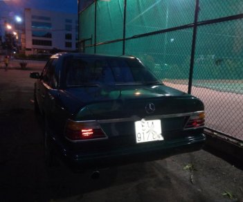 Mercedes-Benz E class 1992 - Bán Mercedes năm sản xuất 1992, màu xanh lam, nhập khẩu