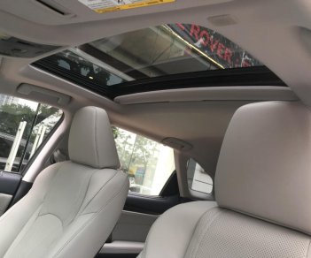 Lexus RX 350L 2018 - Cần bán xe Lexus RX350L, sản xuất năm 2019, màu xám (ghi), nhập khẩu Mỹ