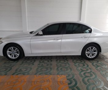 BMW 3 Series 320i 2016 - Bán BMW 3 Series 320i năm sản xuất 2016, màu trắng, nhập khẩu nguyên chiếc
