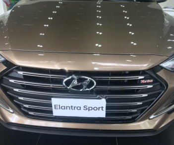 Hyundai Elantra Sport 1.6 AT 2018 - Bán xe Hyundai Elantra Sport 1.6 AT sản xuất 2018