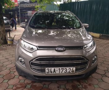 Ford EcoSport Titalium 2016 - Bán ô tô Ford EcoSport Titanium đời 2016, màu xám (ghi)