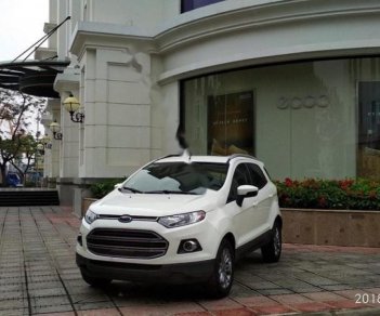 Ford EcoSport Titanium 1.5L AT 2017 - Cần bán lại xe Ford EcoSport Titanium 1.5L AT sản xuất năm 2017, màu trắng 