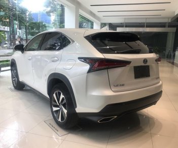 Lexus NX 2018 - Bán Lexus NX 300 đời 2018, màu trắng, nhập khẩu nguyên chiếc chính hãng