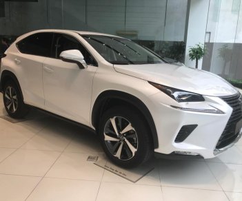 Lexus NX 2018 - Bán Lexus NX 300 đời 2018, màu trắng, nhập khẩu nguyên chiếc chính hãng