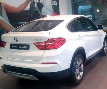 BMW X4 Mới   XDrive20i 2018 - Xe Mới BMW X4 XDrive20i 2018