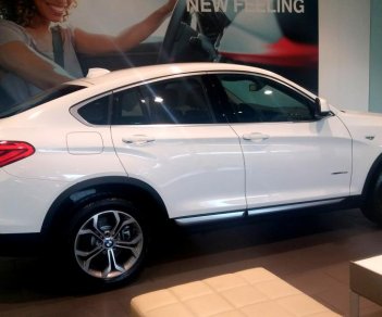 BMW X4 Mới   XDrive20i 2018 - Xe Mới BMW X4 XDrive20i 2018