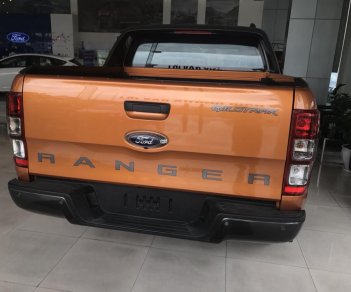 Ford Ranger Wildtrack  2018 - Bán Ford Ranger sản xuất 2018 màu nâu, xe nhập