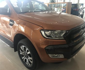 Ford Ranger Wildtrack  2018 - Bán Ford Ranger sản xuất 2018 màu nâu, xe nhập