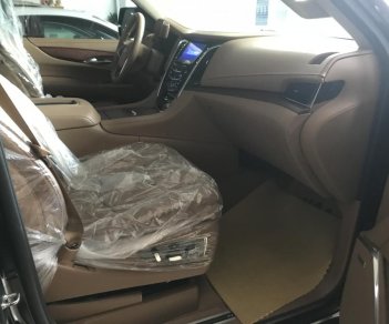 Cadillac Escalade   ESV Platinum 2016 - Bán Cadillac Escalade ESV Platinum sản xuất 2016, đăng ký 2017, biển Hà Nội, xe cực đẹp