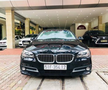 BMW 5 Series 520i 2015 - Bán BMW 5 Series 520i sản xuất 2015, màu đen, xe nhập  