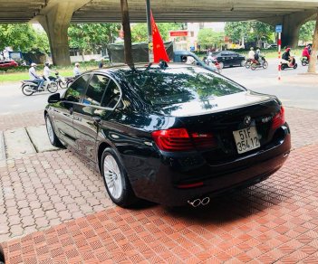 BMW 5 Series 520i 2015 - Bán BMW 5 Series 520i sản xuất 2015, màu đen, xe nhập  