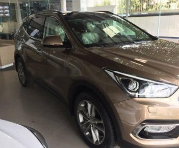 Hyundai Santa Fe 2018 - Cần bán Hyundai Santa Fe sản xuất 2018, màu nâu