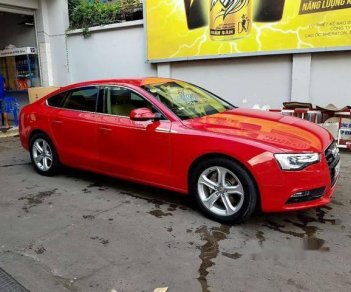 Audi A5   Quattro 2.0T 2013 - Bán Audi A5 Quattro 2.0T năm sản xuất 2013, màu đỏ, nhập khẩu nguyên chiếc