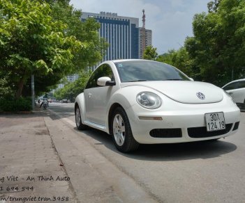 Volkswagen Beetle 2010 - Bán Volkswagen Beetle 2010 1.6AT 