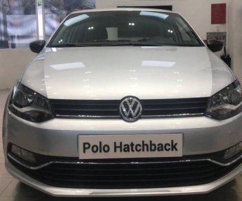 Volkswagen Polo 2016 - Volkswagen Polo 2016, màu bạc, nhập khẩu, NH hỗ trợ trên 80%