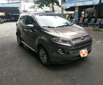 Ford EcoSport Titanium 1.5AT 2015 - Bán Ford EcoSport Titanium 1.5AT 2015, màu nâu