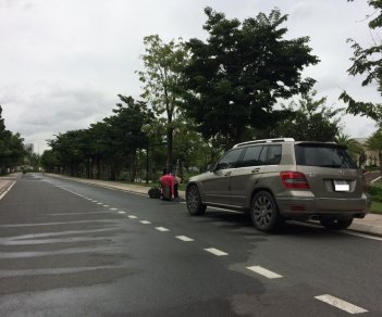 Mercedes-Benz GLK Class 300 2010 - Bán xe Mercedes GLK300 đời 2010, màu kem