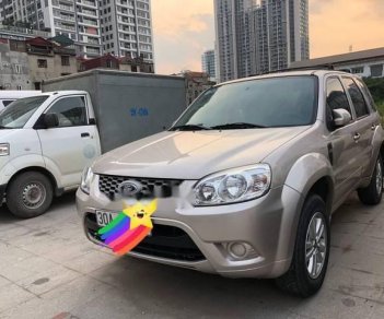 Ford Escape   XLS 2011 - Cần bán gấp Ford Escape XLS sản xuất 2011, giá tốt