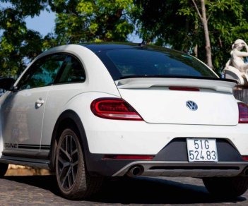 Volkswagen Beetle Mới   Dune 2018 - Xe Mới Volkswagen Beetle Dune 2018