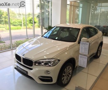 BMW X6 Mới   XDrive35i 2018 - Xe Mới BMW X6 XDrive35i 2018