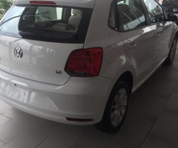 Volkswagen Polo   2017 - Bán Volkswagen Polo hatchback sản xuất năm 2017, nhập khẩu nguyên chiếc, giá chỉ 695 triệu