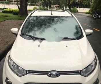 Ford EcoSport Titanium   2015 - Bán Ford EcoSport Titanium đời 2015, màu trắng số tự động