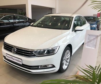 Volkswagen Passat Bluemotion 2018 - Cần bán Volkswagen Passat Bluemotion đời 2018, nhập khẩu nguyên chiếc