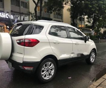 Ford EcoSport Titanium   2015 - Bán Ford EcoSport Titanium đời 2015, màu trắng số tự động