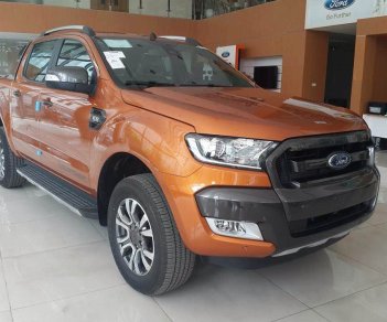 Ford Ranger wildtrak 2.0AT 2018 - Bán Ford Ranger Wildtrak 2.0 năm 2018, màu cam, nhập khẩu nguyên chiếc, giá chỉ 925 triệu