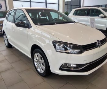 Volkswagen Polo   2017 - Bán Volkswagen Polo hatchback sản xuất năm 2017, nhập khẩu nguyên chiếc, giá chỉ 695 triệu