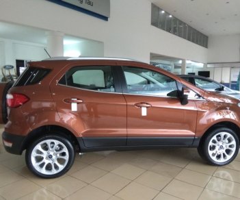 Ford EcoSport 1.5AT Titanium  2018 - Bán ô tô Ford EcoSport 1.5AT Titanium năm 2018, màu cam, giá tốt