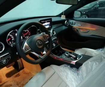 Mercedes-Benz C class C300 2017 - Bán xe Mercedes-Benz C300 siêu lướt 40km (Mercedes Trường Chinh)