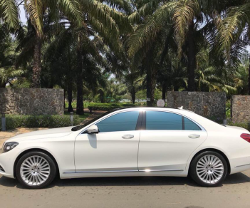 Mercedes-Benz S class S500 2016 - Xe Mercedes S500 đời 2017, màu trắng