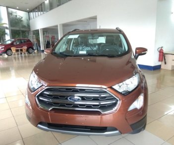 Ford EcoSport 1.5AT Titanium  2018 - Bán ô tô Ford EcoSport 1.5AT Titanium năm 2018, màu cam, giá tốt