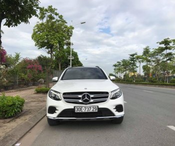 Mercedes-Benz GLC-Class 300 2017 - Bán Mercedes 300 năm sản xuất 2017, màu trắng, nhập khẩu