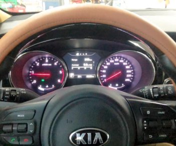 Kia Sedona 2017 - Cần bán lại xe Kia Sedona sản xuất 2017, màu xám còn mới