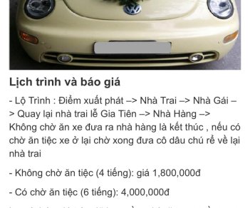 Volkswagen Beetle 2008 - Bán xe Volkswagen Beetle 2.0 mui xếp điện, tự động cực đỉnh, hàng hiếm