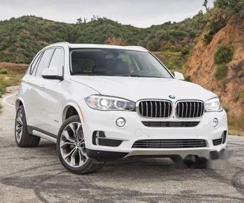 BMW X5   2018 - Bán BMW X5 đời 2018, màu trắng, xe nhập