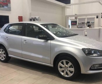 Volkswagen Polo 2015 - Bán Volkswagen Polo đời 2016, màu bạc, nhập khẩu giá cạnh tranh