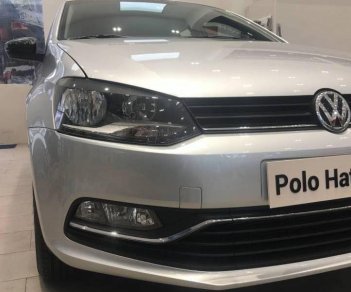 Volkswagen Polo 2015 - Bán Volkswagen Polo đời 2016, màu bạc, nhập khẩu giá cạnh tranh