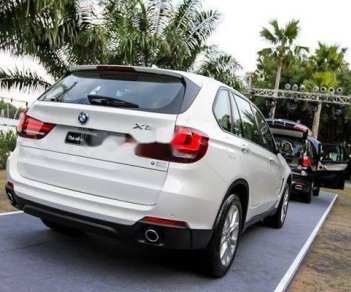 BMW X5   2018 - Bán BMW X5 đời 2018, màu trắng, xe nhập