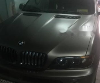 BMW X5   2006 - Cần bán BMW X5 đời 2006, màu bạc, nhập khẩu nguyên chiếc, 500 triệu