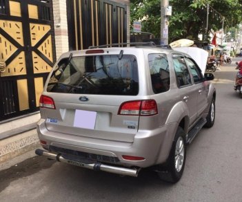 Ford Escape XLS 2009 - Bán xe Ford Escape XLS 2009 số tự động, màu bạc