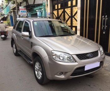 Ford Escape XLS 2009 - Bán xe Ford Escape XLS 2009 số tự động, màu bạc