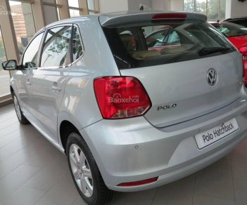 Volkswagen Polo 2015 - Bán Volkswagen Polo đời 2016, màu bạc, nhập khẩu giá cạnh tranh