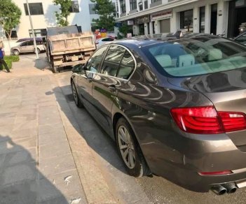 BMW 5 Series  523i  2010 - Xe BMW 5 Series 523i năm sản xuất 2010 