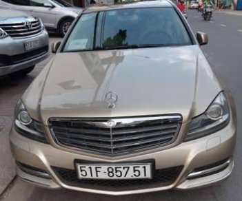 Mercedes-Benz C class C250 2014 - Bán Mercedes C250 sản xuất 2014 xe gia đình, giá chỉ 830 triệu