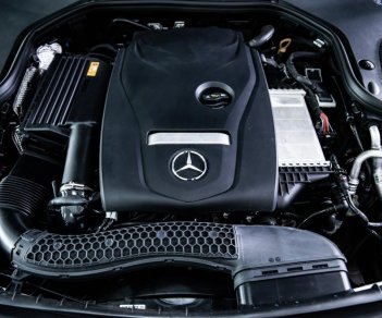 Mercedes-Benz E class E250 2018 - Bán Mercedes-Benz E250 nâu 2018, giá tốt, mới 100% giao ngay